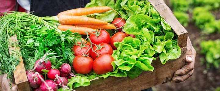 Cost and Health Benefits of Eating Organic Food – Farmers’ Markets and Community-Supported Agriculture
